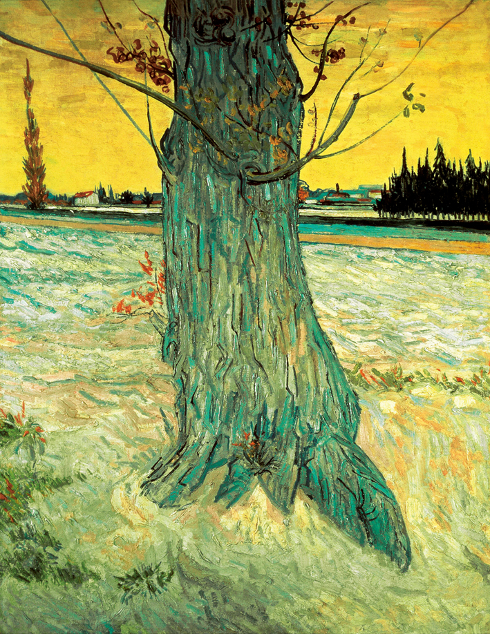  文森特·威廉·梵高  Vincent Willen Van Gogh —— 树下的植物 (5)